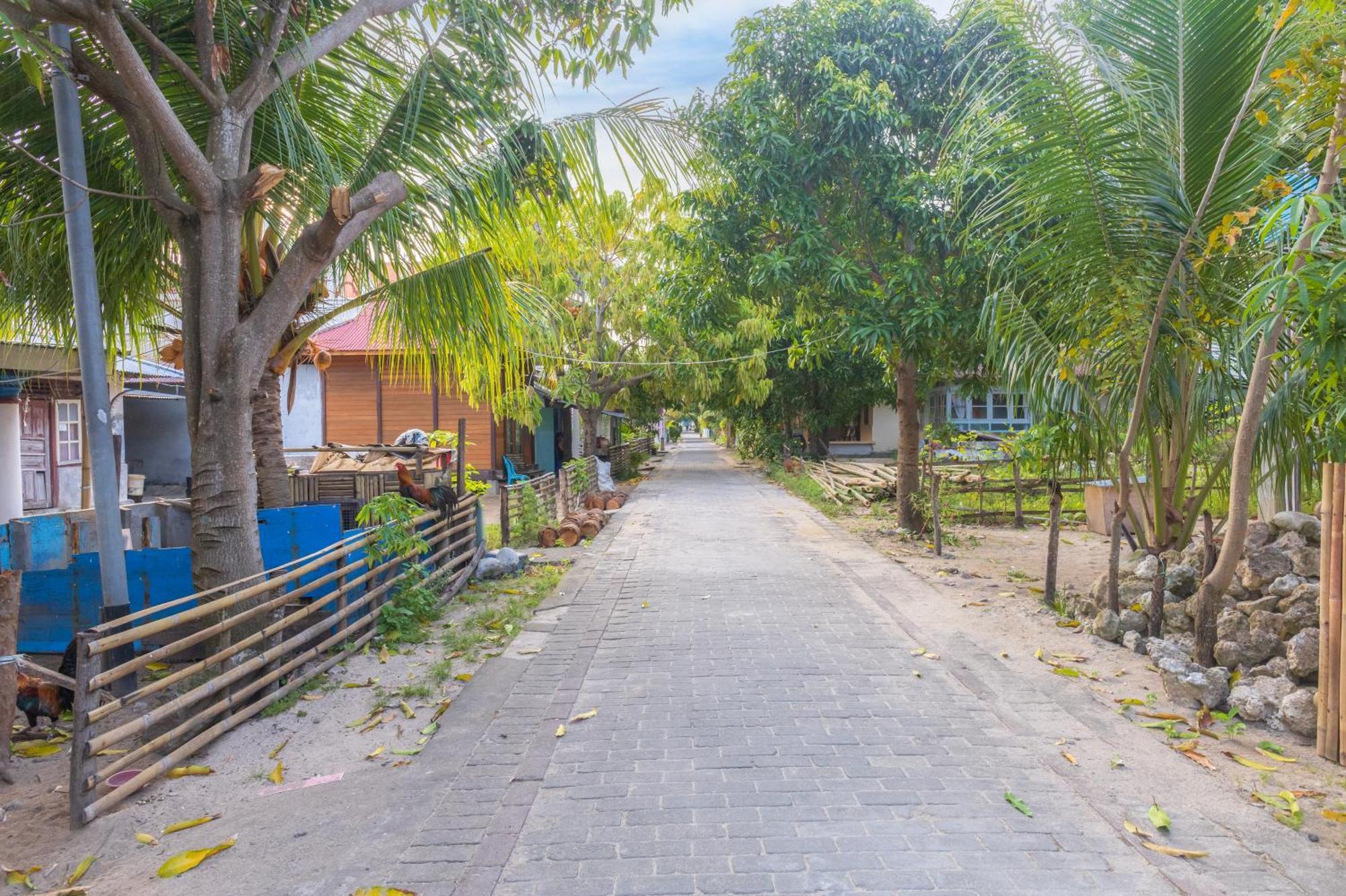 Coco Bunaken